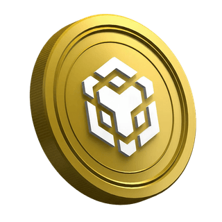 BNB kripto para birimine yönelik yeni işlemci kılavuzunun bulunduğu sayfa
